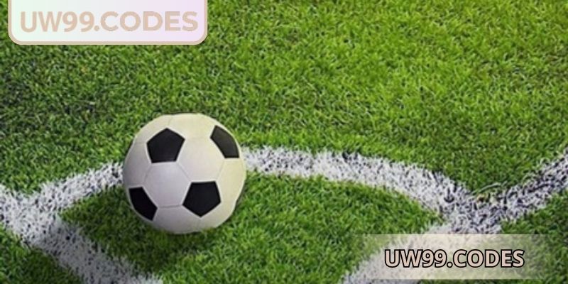 Chiến lược vào tiền đúng đắn đem về lợi nhuận cao